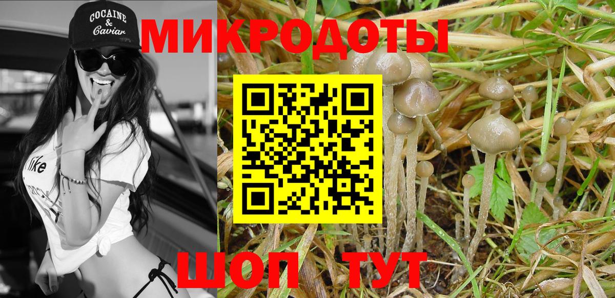 Будённовск  Галлюциногенные грибы мухоморы  Вход с VPN  Галлюциногенные грибы Magic Shrooms 