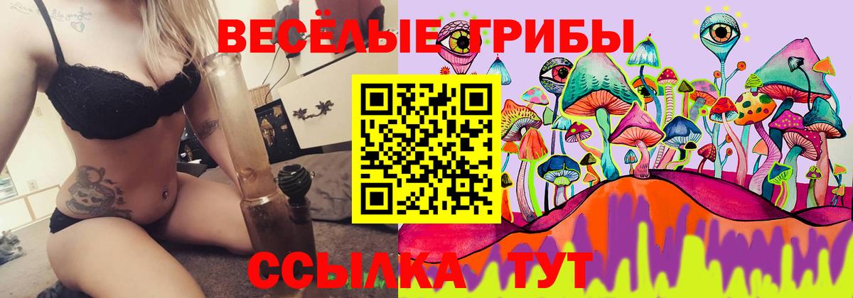 Галлюциногенные грибы мицелий Будённовск
